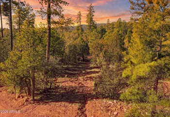 Fawn Dr #5, Pine, AZ 85544