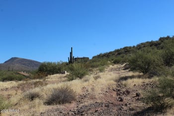 Filoree -- #--, New River, AZ 85087