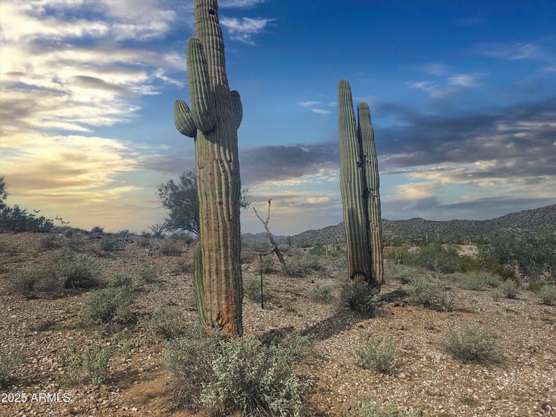 0 Homestead Ln #16, Queen Creek, AZ 85144