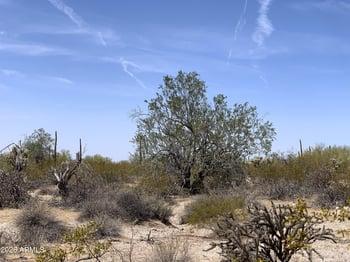 Mayfield Rd #V, Florence, AZ 85132