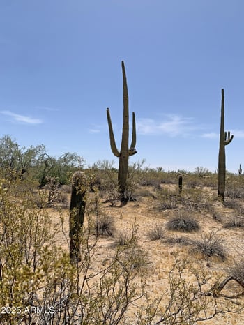 Mayfield Rd #W, Florence, AZ 85132