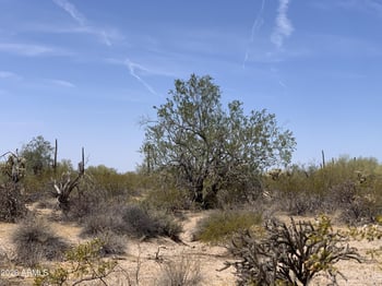 Mayfield Rd #X, Florence, AZ 85132