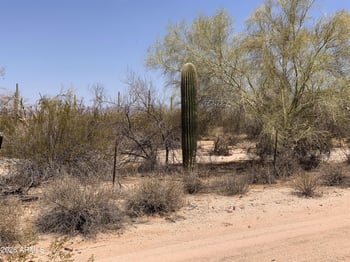Mayfield Rd #X, Florence, AZ 85132