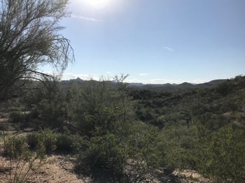 0 Mockingbird Rd, Wickenburg, AZ 85390