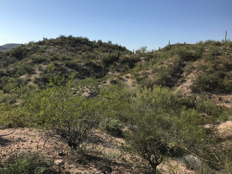 0 Mockingbird Rd, Wickenburg, AZ 85390