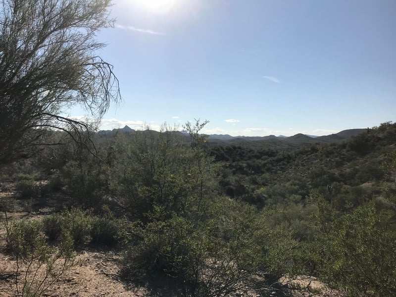 Mockingbird Rd, Wickenburg, AZ 85390