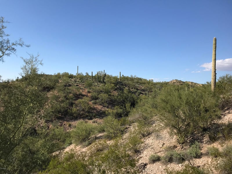 Mockingbird Rd, Wickenburg, AZ 85390