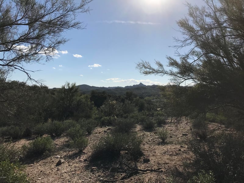 Mockingbird Rd, Wickenburg, AZ 85390