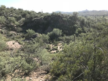 Mockingbird Rd, Wickenburg, AZ 85390