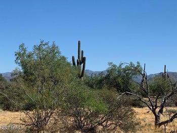 0 N 160th St #'-', Scottsdale, AZ 85262