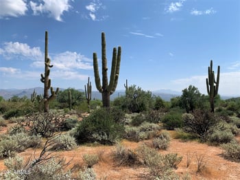 0 N 170th St #-, Rio Verde, AZ 85263