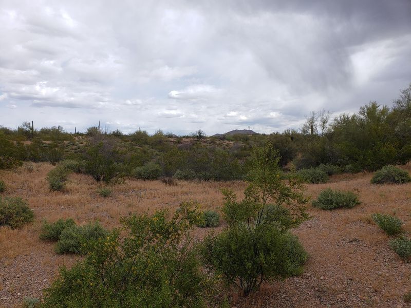 0 N 265th Ave #00, Morristown, AZ 85342