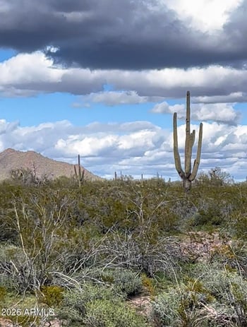 0 N 339th Ave #49, Wickenburg, AZ 85390