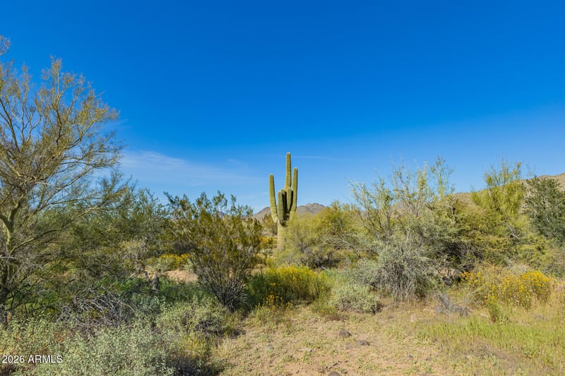 0 N 36th St #1, Cave Creek, AZ 85331