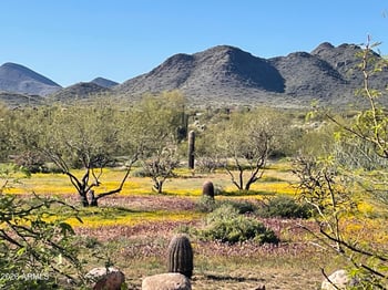 0 N 36th St #1, Cave Creek, AZ 85331