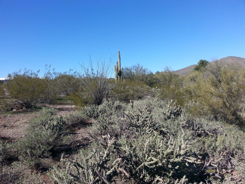 0 N 7th Ave, New River, AZ 85087