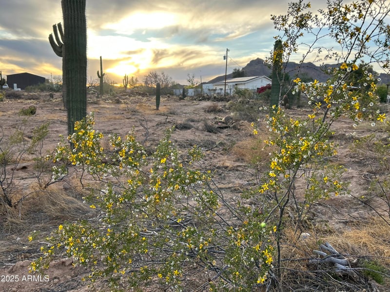 Delaware Dr #-, Apache Junction, AZ 85120
