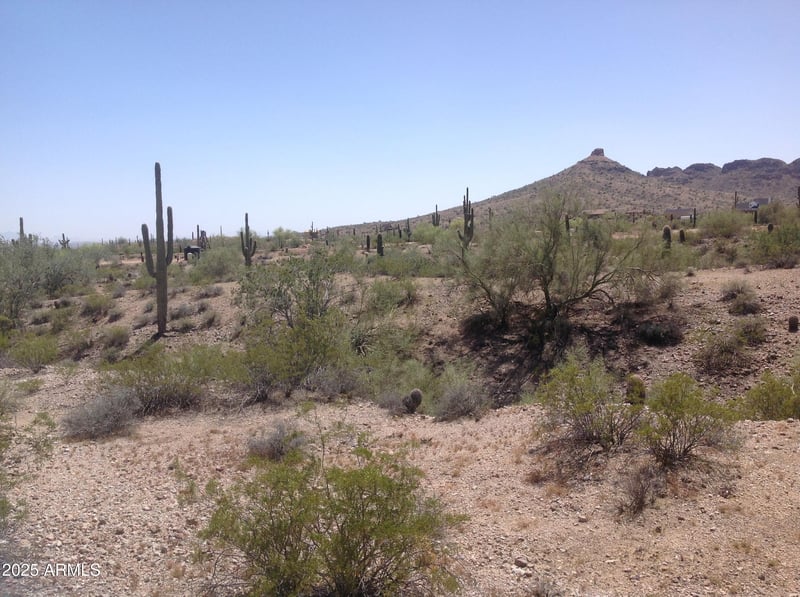 Dolores Pl #'_', San Tan Valley, AZ 85144