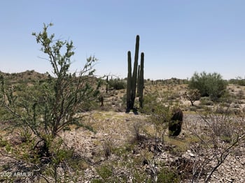 0 N Homestead Ln #16, Queen Creek, AZ 85144