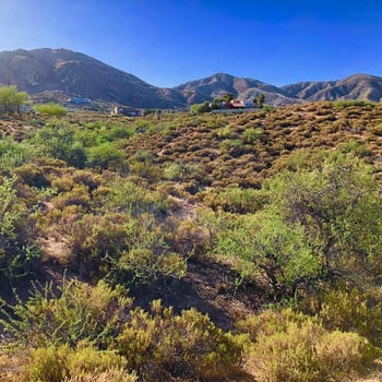 0 N Quail Ln #151, Cave Creek, AZ 85331
