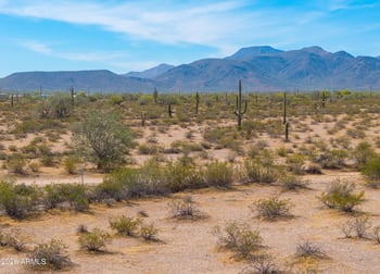 Olmo Rd #3, Casa Grande, AZ 85122