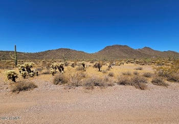 0 Painted Wagon Trl #98, Wittmann, AZ 85361