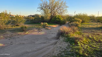 Pampa Grass Rd #72, Maricopa, AZ 85139