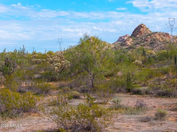 Robin Rd #*-*, Maricopa, AZ 85139