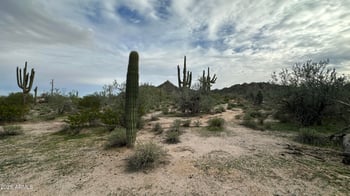 Robin Rd #031, Maricopa, AZ 85139