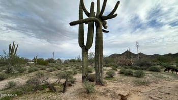 Robin Rd #031, Maricopa, AZ 85139