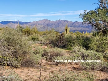 168th St, Rio Verde, AZ 85263