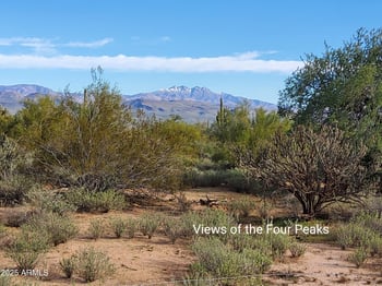 168th St, Rio Verde, AZ 85263