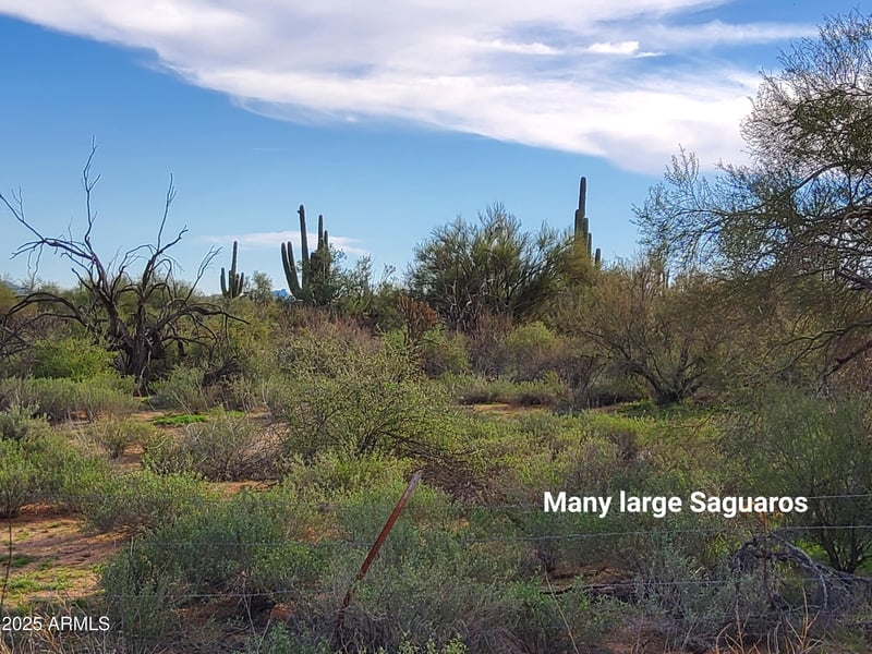 168th St, Rio Verde, AZ 85263