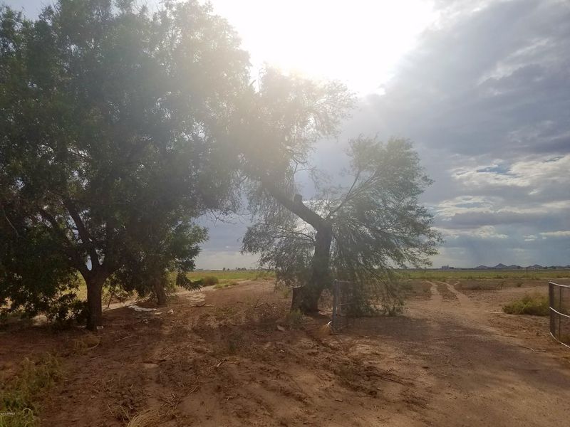 0 S Jackrabbit Trl #-, Buckeye, AZ 85326