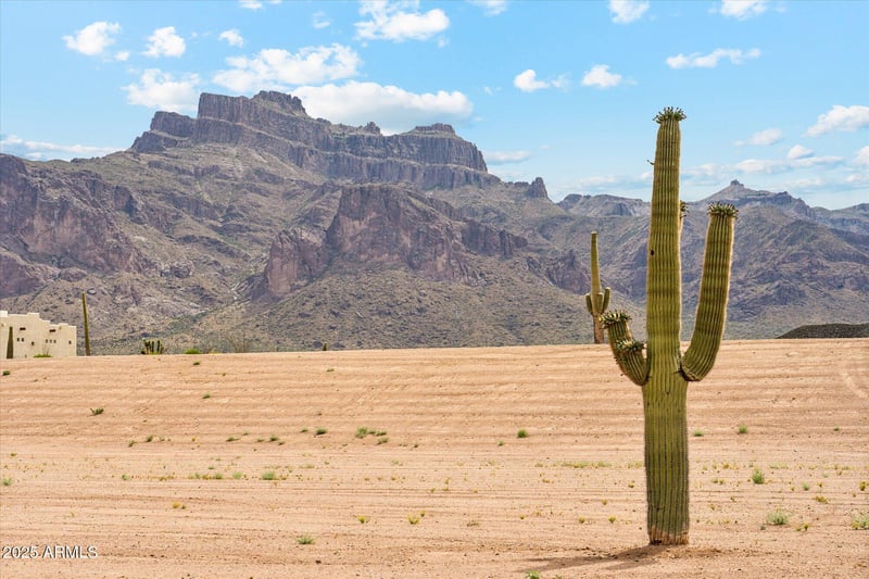 Roadrunner Rd #D, Apache Junction, AZ 85119