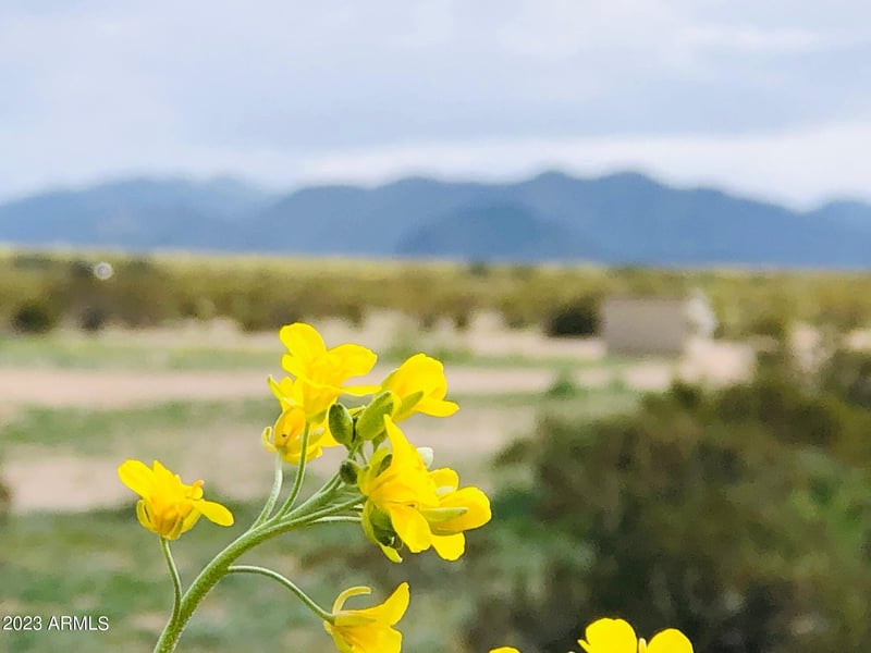 0 Siesta Way #482, Tonopah, AZ 85354