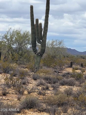 Smokehouse Trl #89 & 90, Wickenburg, AZ 85390