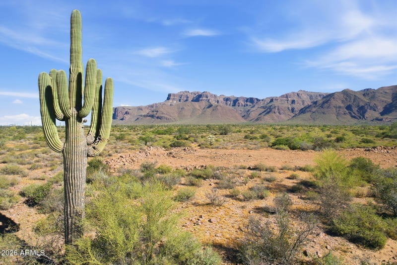 Southern -- #3, Gold Canyon, AZ 85118