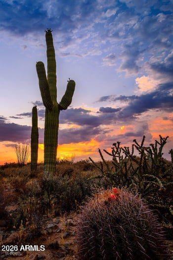 0 Southern -- #3, Gold Canyon, AZ 85118