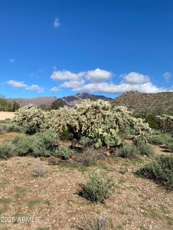 Sunset Peak Rd #-, Gold Canyon, AZ 85118