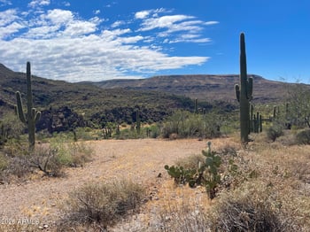 Tillys Trl #-, Black Canyon City, AZ 85324