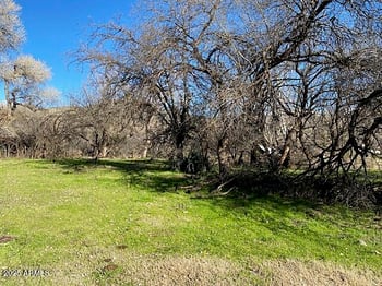 Tonto Creek Dr #391, Payson, AZ 85541