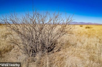 Vista Del Cerro Dr Offshoot -- #-, Douglas, AZ 85067