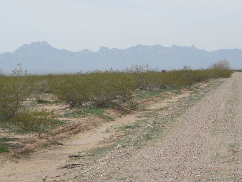 0 W Centennial Rd #39, Tonopah, AZ 85354
