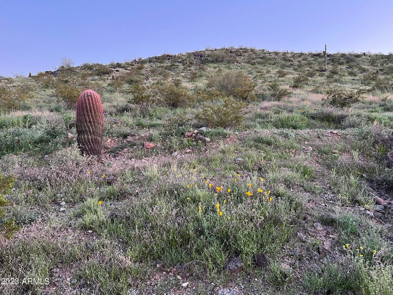 0 W Cheyenne -- #-, Laveen, AZ 85339