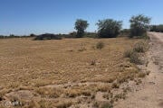 Cloud Rd #-, Wittmann, AZ 85361