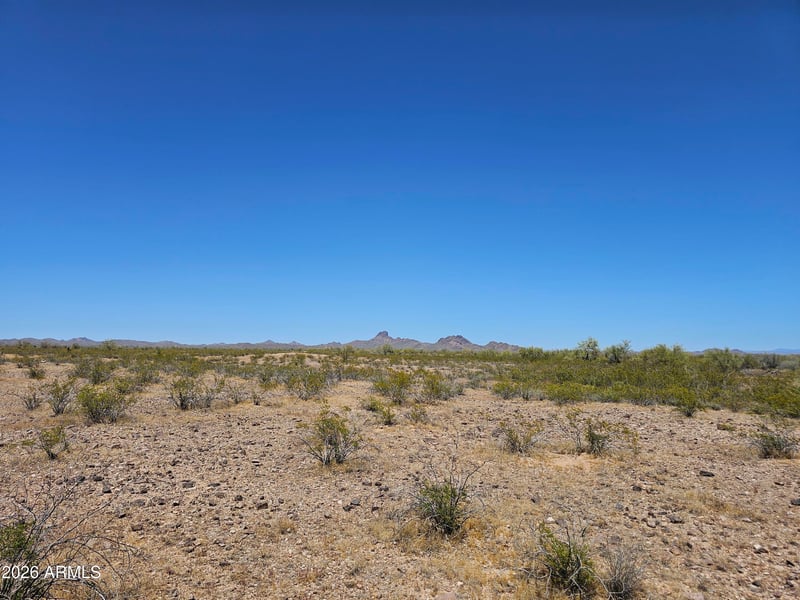 Dove Valley Rd #230, Wittmann, AZ 85361