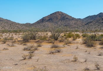 Harvest Hills Trl #B, Maricopa, AZ 85139