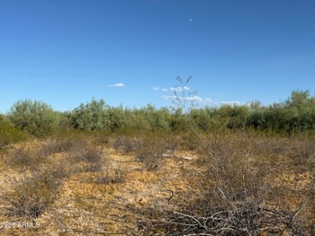 Lone Cactus Dr #'_', Surprise, AZ 85387