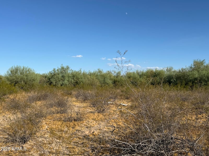 0 W Lone Cactus Dr #'_', Surprise, AZ 85387